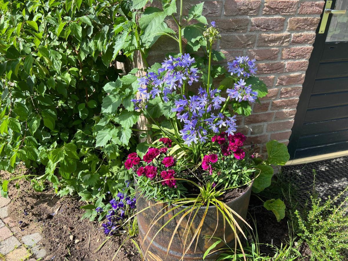 Supergezellig Vakantiehuis Met Hele Grote Tuin Bij Nijmegen Ewijk Bagian luar foto