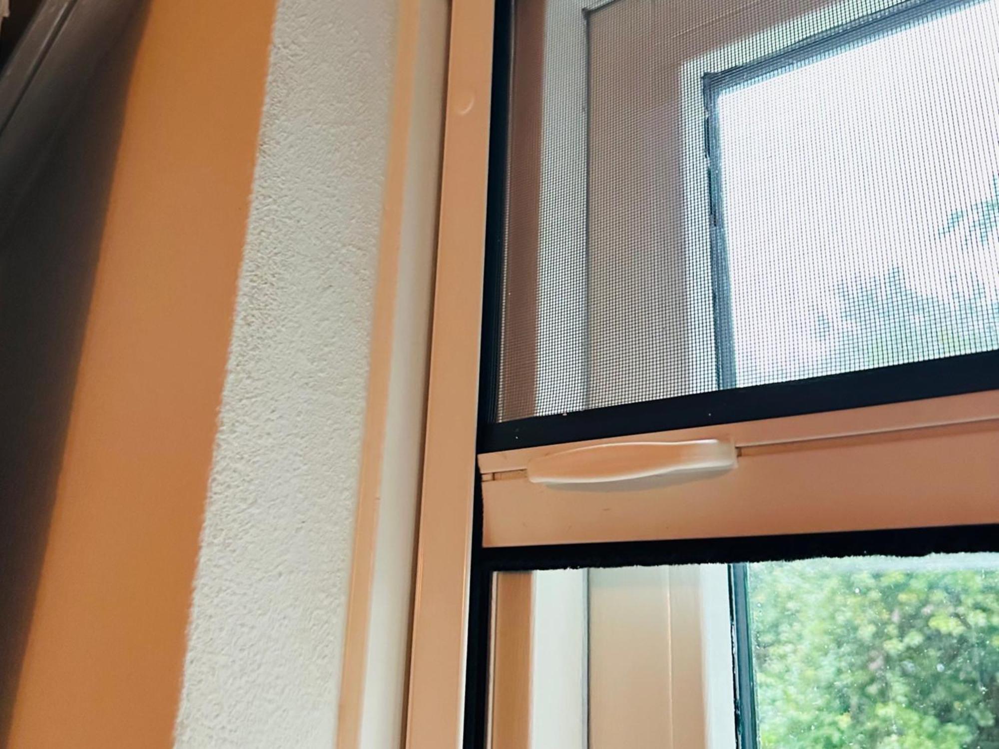 Supergezellig Vakantiehuis Met Hele Grote Tuin Bij Nijmegen Ewijk Bagian luar foto